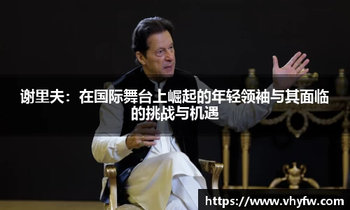 谢里夫：在国际舞台上崛起的年轻领袖与其面临的挑战与机遇