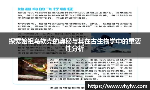 探索始祖鸟软壳的奥秘与其在古生物学中的重要性分析